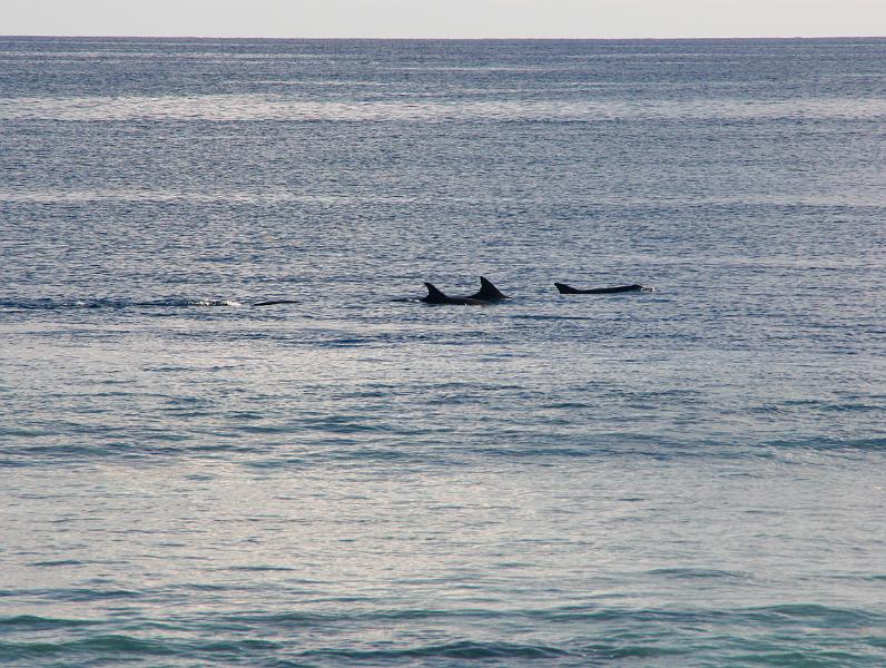 Kuramathi (148).jpg